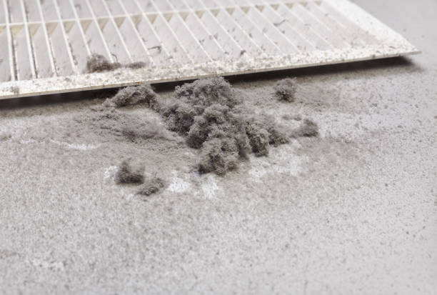 Best Emergency Air Duct Cleaning  in Laymantown, VA