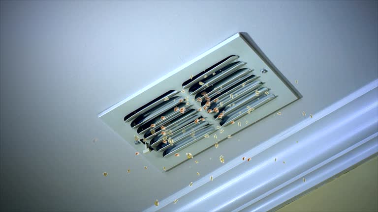 Best Ductwork Cleaning Services  in Laymantown, VA